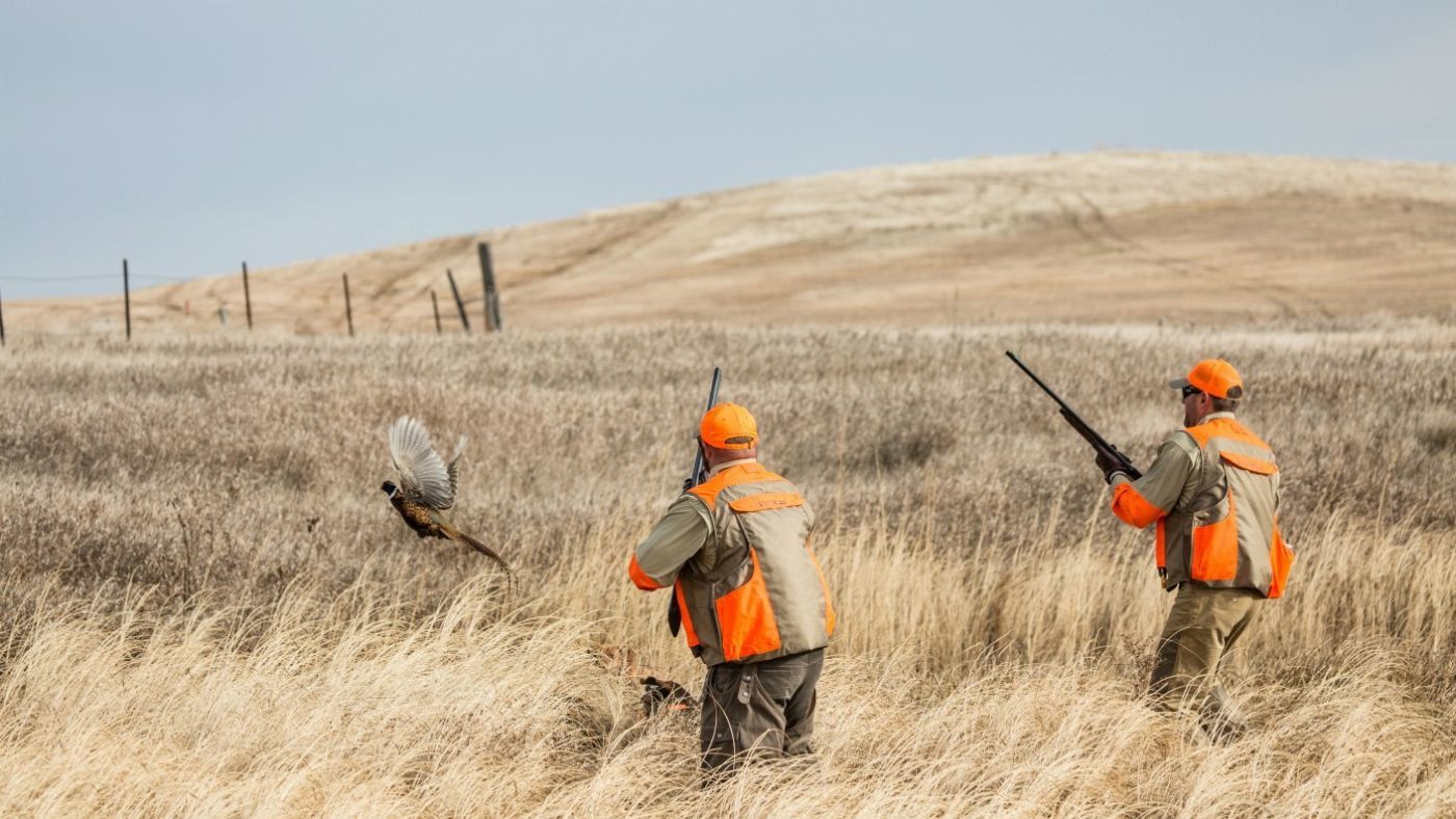 upland bird hunting gloves